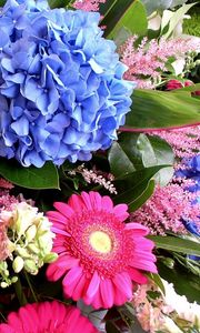 Preview wallpaper hydrangea, gerbera, delphinium, flower, decoration