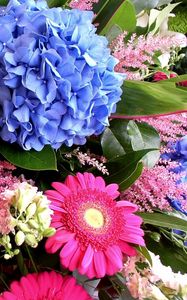 Preview wallpaper hydrangea, gerbera, delphinium, flower, decoration