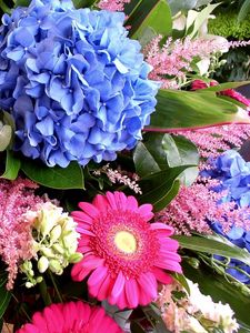 Preview wallpaper hydrangea, gerbera, delphinium, flower, decoration