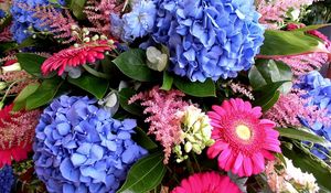 Preview wallpaper hydrangea, gerbera, delphinium, flower, decoration