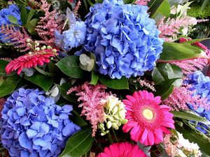 Preview wallpaper hydrangea, gerbera, delphinium, flower, decoration