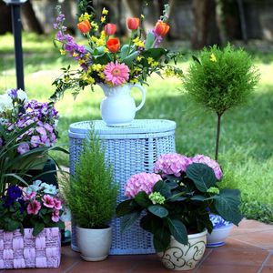Preview wallpaper hydrangea, petunia, gillyflower, tulips, flowers, fir, baskets, pots