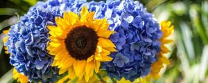 Preview wallpaper hydrangeas, sunflowers, vase, close up, sharpness