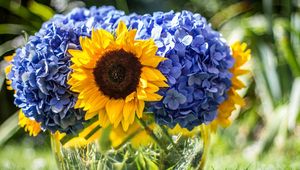 Preview wallpaper hydrangeas, sunflowers, vase, close up, sharpness