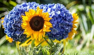 Preview wallpaper hydrangeas, sunflowers, vase, close up, sharpness