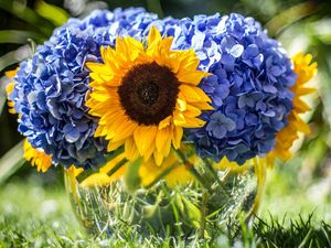 Preview wallpaper hydrangeas, sunflowers, vase, close up, sharpness