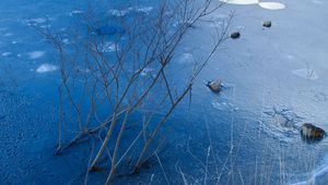 Preview wallpaper ice, branches, bushes, rocks, pond, lake, winter, frost