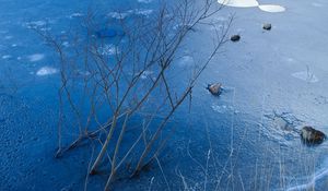 Preview wallpaper ice, branches, bushes, rocks, pond, lake, winter, frost