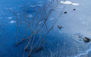 Preview wallpaper ice, branches, bushes, rocks, pond, lake, winter, frost
