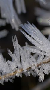 Preview wallpaper ice, crystals, branches, macro, winter