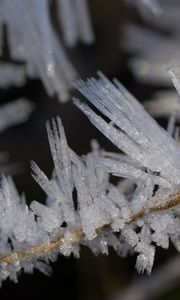 Preview wallpaper ice, crystals, branches, macro, winter