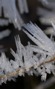 Preview wallpaper ice, crystals, branches, macro, winter