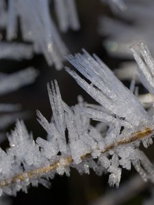 Preview wallpaper ice, crystals, branches, macro, winter