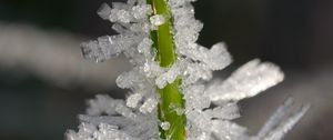 Preview wallpaper ice, crystals, grass, stem, macro
