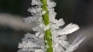 Preview wallpaper ice, crystals, grass, stem, macro