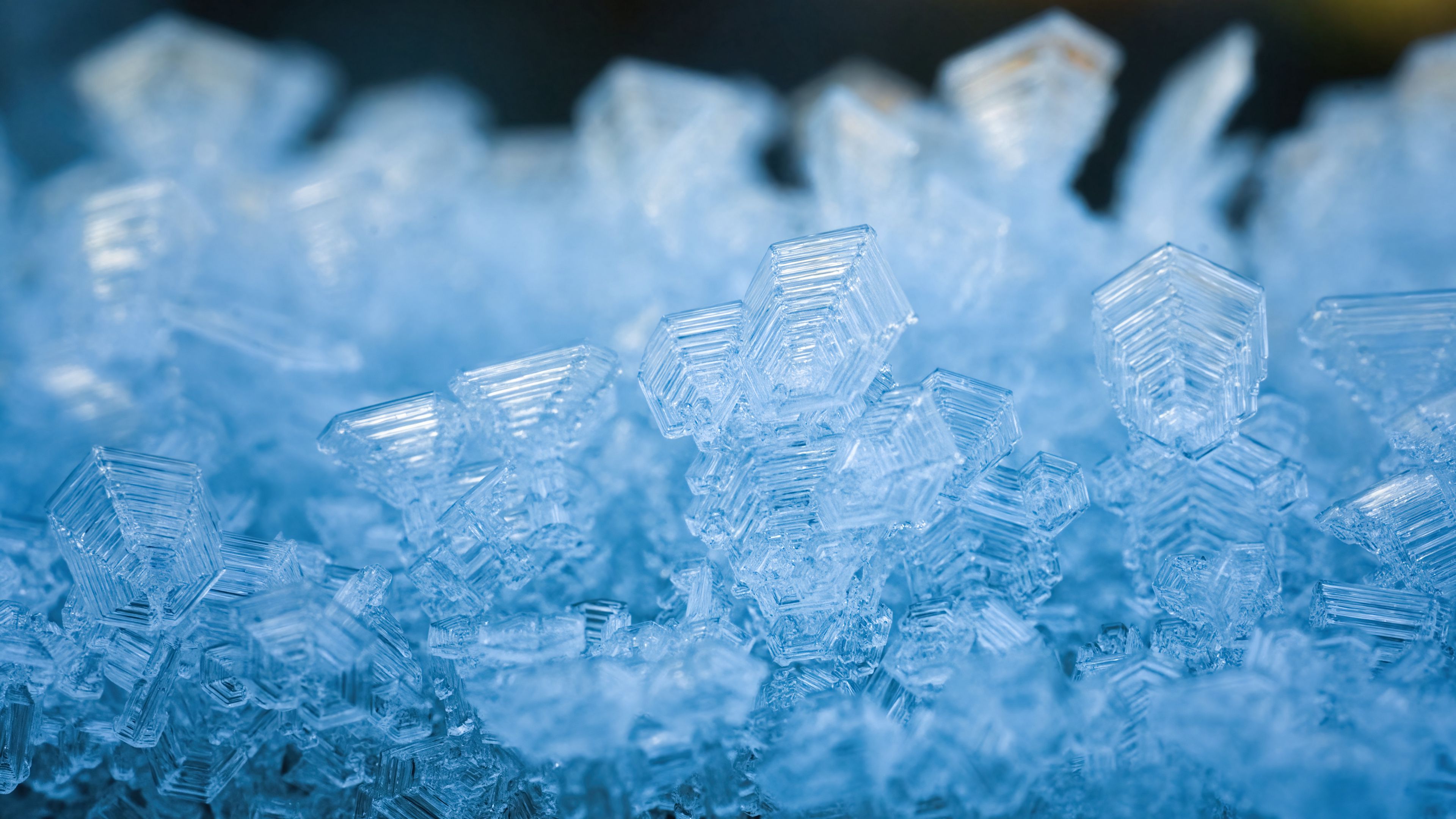 ice crystals wallpaper