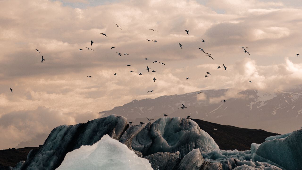 Wallpaper ice, ice floes, rocks, birds, mountains