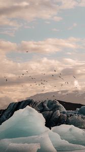 Preview wallpaper ice, ice floes, rocks, birds, mountains