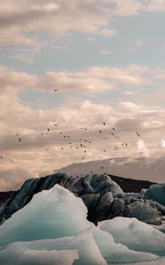 Preview wallpaper ice, ice floes, rocks, birds, mountains