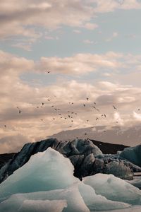 Preview wallpaper ice, ice floes, rocks, birds, mountains