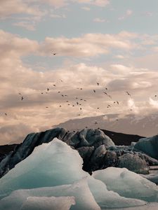 Preview wallpaper ice, ice floes, rocks, birds, mountains