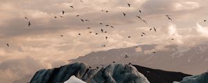 Preview wallpaper ice, ice floes, rocks, birds, mountains