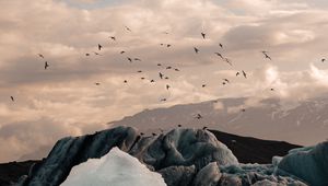 Preview wallpaper ice, ice floes, rocks, birds, mountains