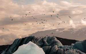 Preview wallpaper ice, ice floes, rocks, birds, mountains