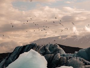 Preview wallpaper ice, ice floes, rocks, birds, mountains