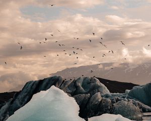 Preview wallpaper ice, ice floes, rocks, birds, mountains