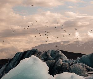 Preview wallpaper ice, ice floes, rocks, birds, mountains