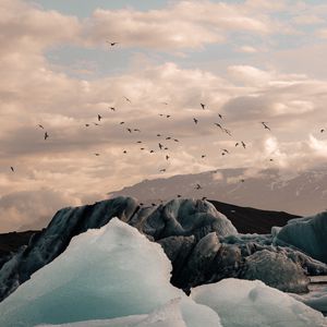 Preview wallpaper ice, ice floes, rocks, birds, mountains