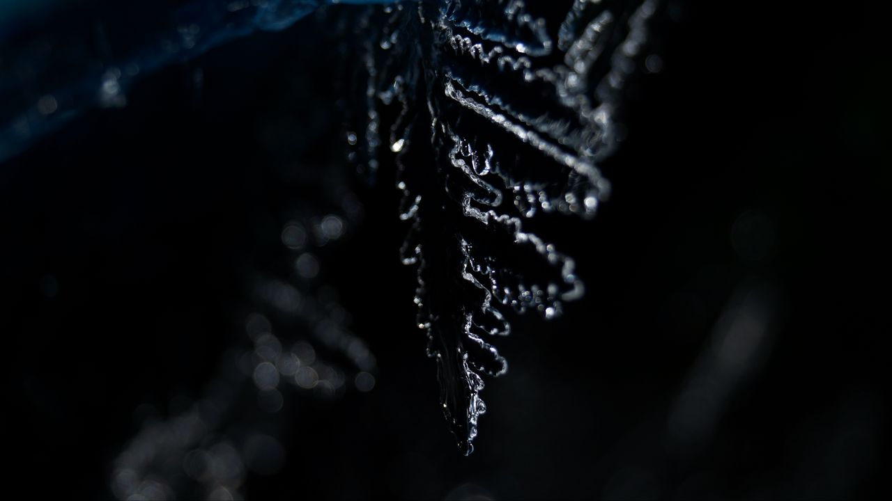 Wallpaper ice, leaf, winter, dark, macro