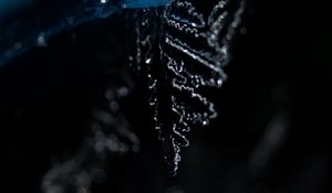 Preview wallpaper ice, leaf, winter, dark, macro