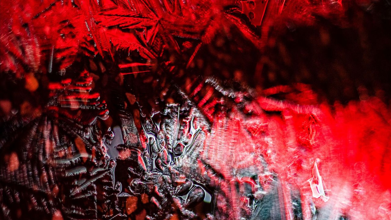 Wallpaper ice, light, red, macro
