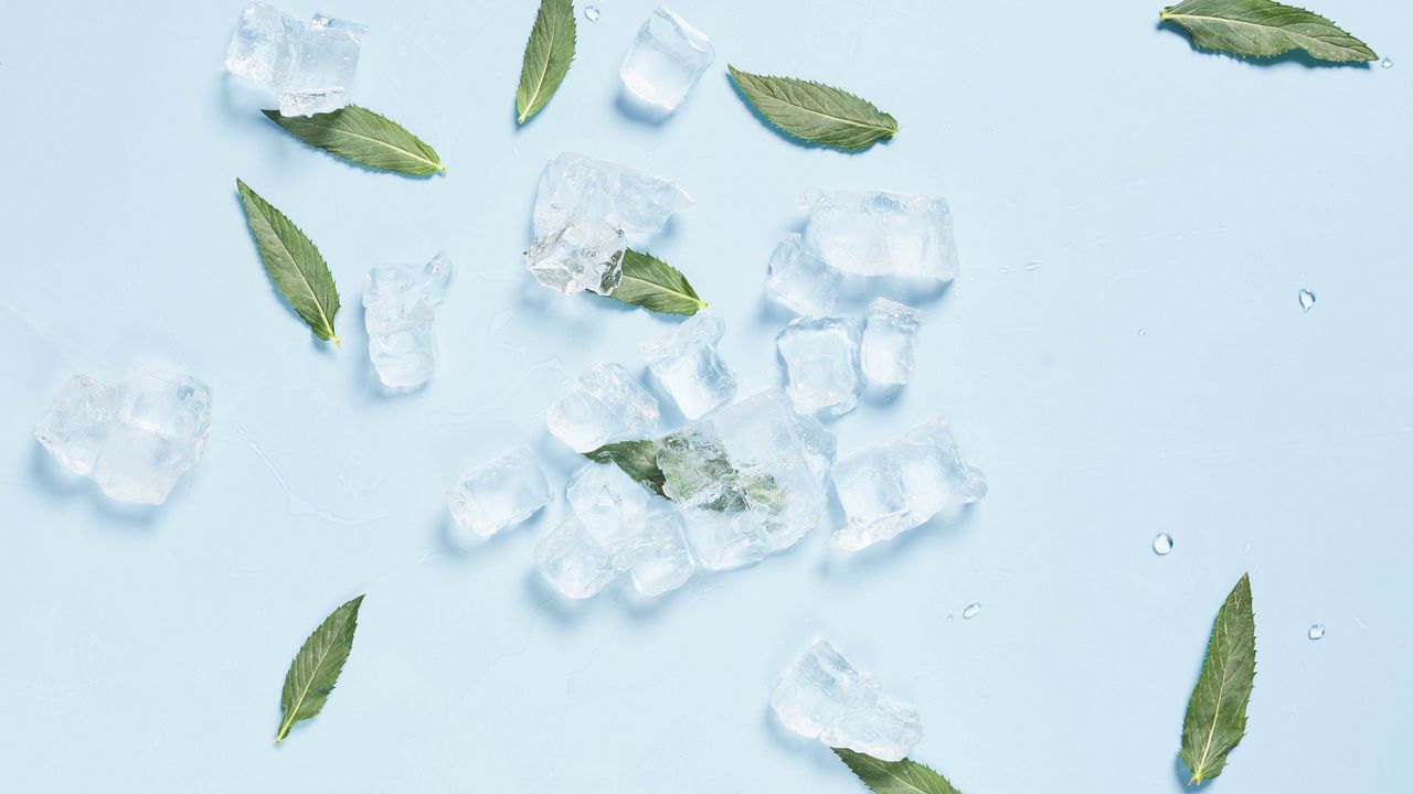 Wallpaper ice, mint, leaves, cold, macro