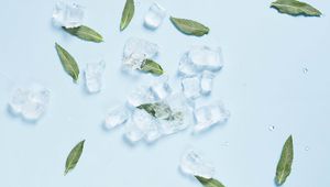 Preview wallpaper ice, mint, leaves, cold, macro