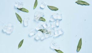 Preview wallpaper ice, mint, leaves, cold, macro