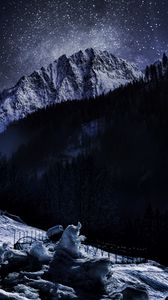 Preview wallpaper ice, mountain, snow, forest, night, winter