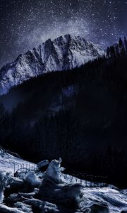 Preview wallpaper ice, mountain, snow, forest, night, winter