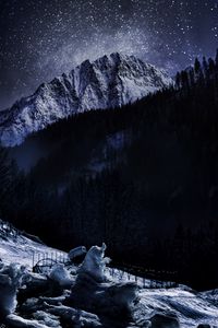 Preview wallpaper ice, mountain, snow, forest, night, winter