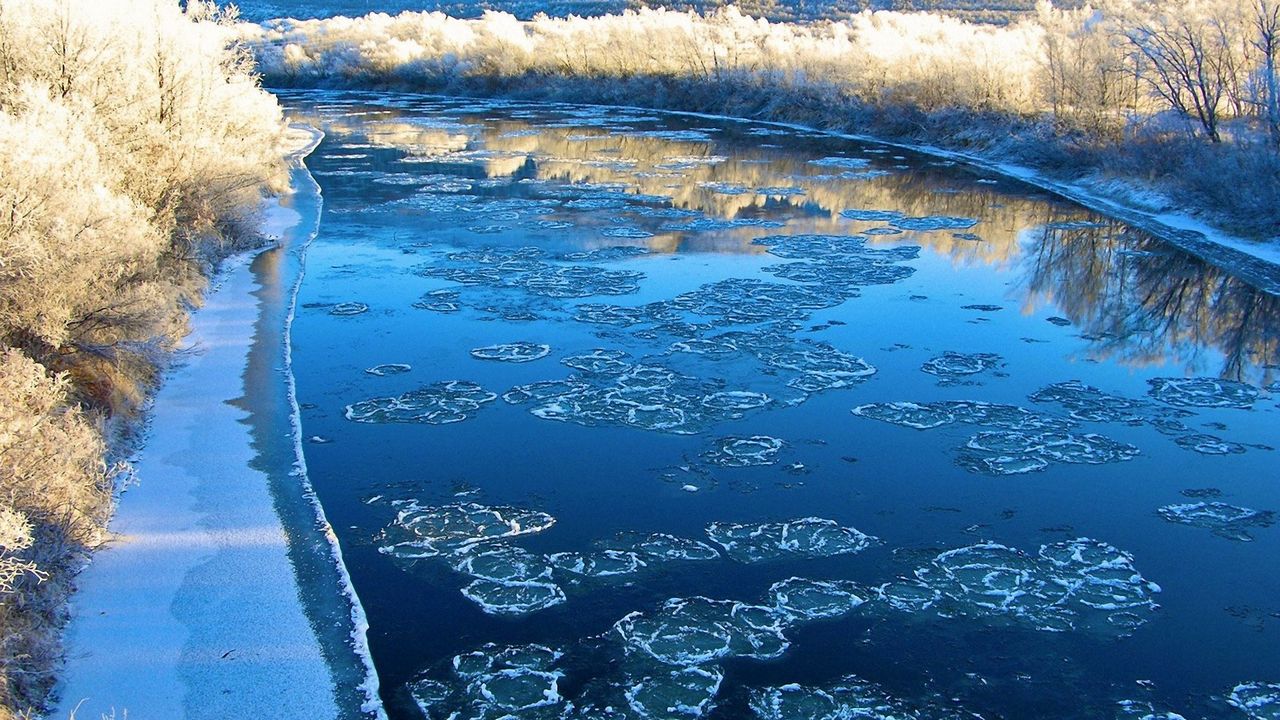 Wallpaper ice, river, coast, wood, frosts, blocks