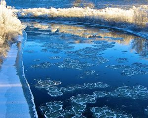 Preview wallpaper ice, river, coast, wood, frosts, blocks