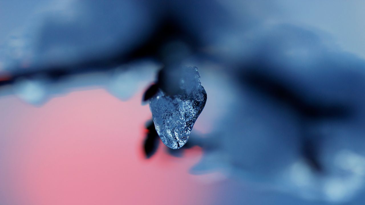 Wallpaper ice, snow, branch, blur