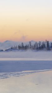 Preview wallpaper ice, trees, fog, snow, winter, white