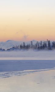 Preview wallpaper ice, trees, fog, snow, winter, white