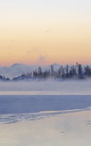 Preview wallpaper ice, trees, fog, snow, winter, white