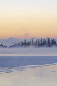 Preview wallpaper ice, trees, fog, snow, winter, white