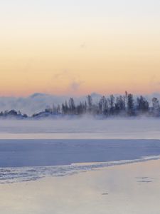 Preview wallpaper ice, trees, fog, snow, winter, white