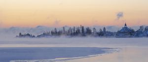 Preview wallpaper ice, trees, fog, snow, winter, white